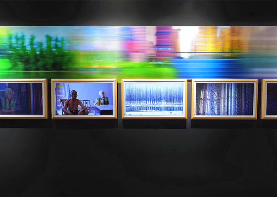 Китай Горизонтальный Синьяге цифров большого формата, системы Синьяге искусства электронные поставщик